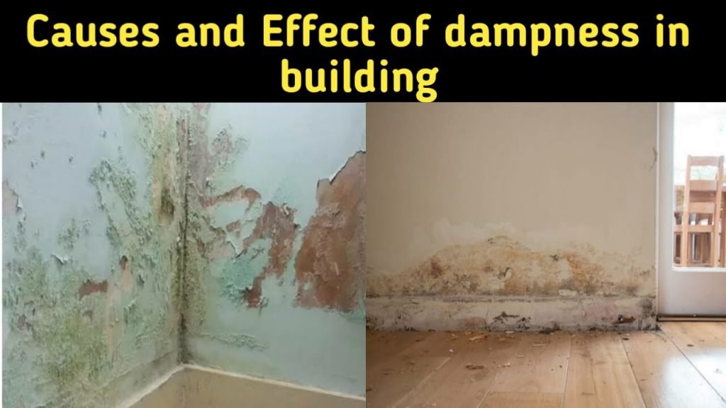 What Are The Causes & Effect Of Dampness In Building