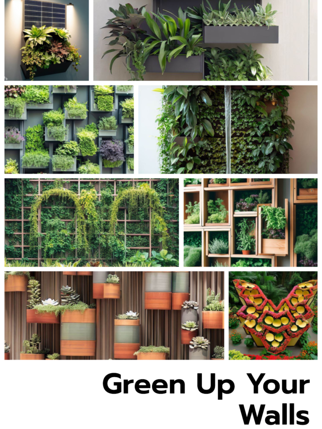 15 Best Outdoor Wall Planter Idea | Green up Your Home