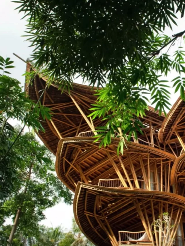 Bamboo as a Building Material : Sustainable way of construction