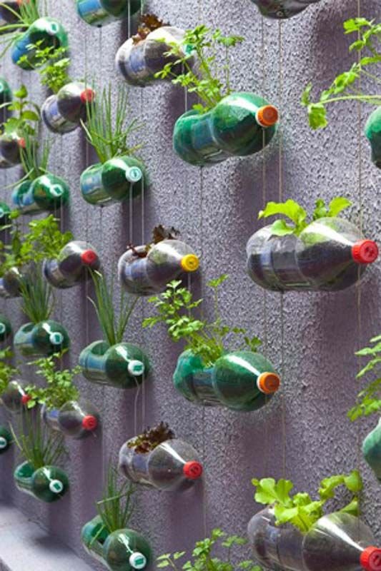 Vertical Gardening - Best Way to Grow Plants at Your Home