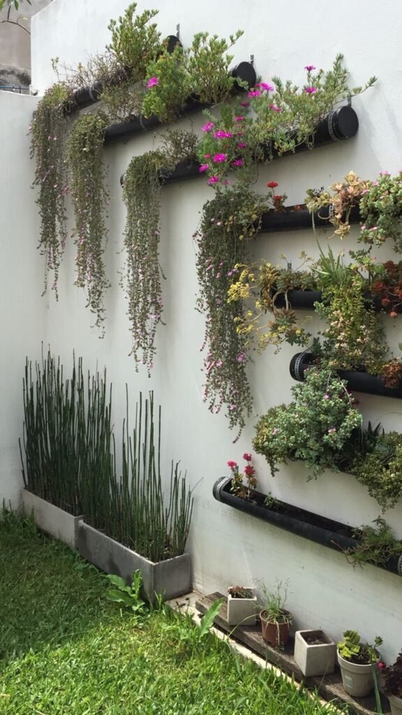 Vertical Gardening - Best Way to Grow Plants at Your Home