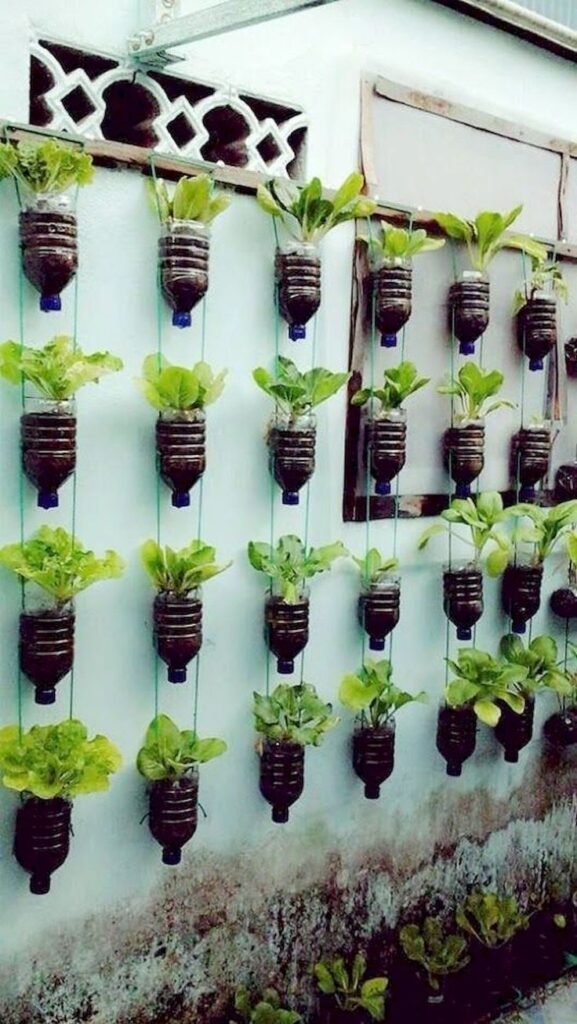DIY Ideas for Vertical Garden