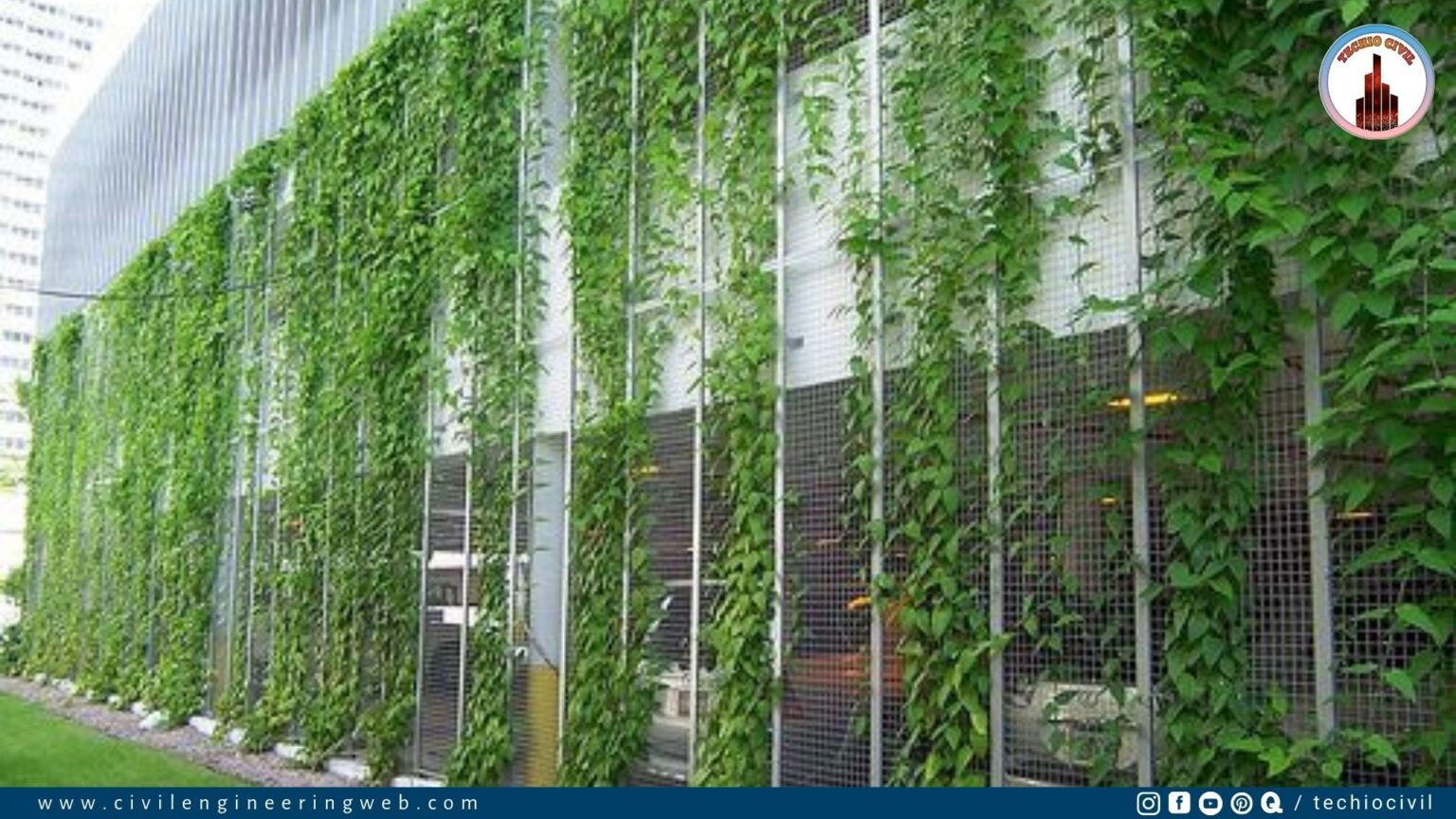 Vertical Gardening - Best Way To Grow Plants At Your Home